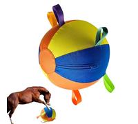 Dog Grazing Balls - Giant Floating Inflatable with Pump, Durable Tear Resistant Design, Interactive Training Ball | For Medium Large Breeds, Hub Park