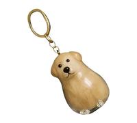 Dog Hair Catcher Keychain, Transparent Hair Catcher Keychain, Cute Ornament for Bags and Car Daily Travel Gift, One, Se référer au descriptif