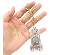 Dog Hair Collector Keychain Charm Memorial Storage Box Cute Shaped Stylish Accessories Keychain Container