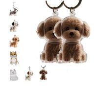 Dog Hair Collector Keychain, Charm Memorial Storage Box, Pet Hair Memorial Keepsake for Pet Owners Gift, Dog Memory Capsule (B,1)