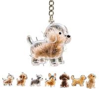 Dog Hair Collector Keychain Charm Memorial Storage Box, Transparent Pet Fur Keepsake Pup Capsule Keychain, Refillable Dog Hair Holder Keyring, Cute Pet Hair Collection Bottle, Gift for Pet Lovers (A)