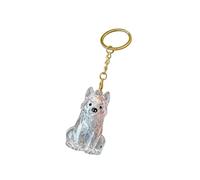 Dog Hair Memorial Keepsake - Ashes Storage Holder Keychain Ornament