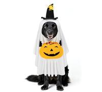 Dog Halloween Costumes with Pumpkin Pocket - Securely Fixed White Ghost Costume with Hook and Loop Tape, Funny Cape for Medium Dogs Trick or Treat Cosplay Party