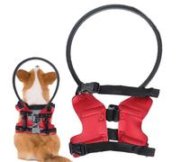 Dog Halo for Blind Dogs, Blind Dog Bumper Halo | Safety Lightweight Comfortable Adjustable Bumper | Anti-Collision Rings Protection Device, Confidence Tree Harness Guide Device for Building the Vert
