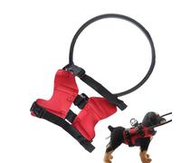 Dog Halo Pet Blind Ring, Collar Aid Vision | Anti-Collision Circle Device, Harness Support Support, Adjustable Lightweight Recovery Band Helps Anus