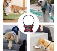 Dog Halo - Protective Adjustable Collar for Blind Dogs | Safety Bumper Harness to Prevent Collision | Guiding Pet Accessories for Cats, Confidence Building, Walking Aid, Sick Eyes, Blurred Vision Care