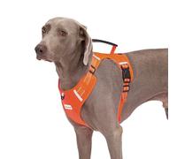 Dog Harness Adjustable Breathable Dog Harness with No Pull PVC Handle,Reflective Dog Vest Harnesses with Leash for Small Medium Large Dogs,Easy to Walking,Training,Camping,Control Escape