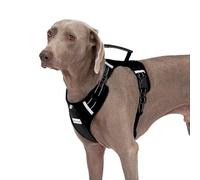 Dog Harness Adjustable Breathable Dog Harness with No Pull PVC Handle,Reflective Dog Vest Harnesses with Leash for Small Medium Large Dogs,Easy to Walking,Training,Camping,Control Escape