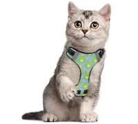 Dog Harness Adjustable S Frogs Crowns Hearts