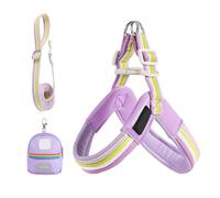 Dog Harness and Lead | Adjustable Pet Clothes Harness Comfortable Safety Accessory with Bag for Walks in the City Park Garden Hiking Running