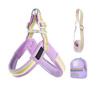 Dog Harness and Lead | Adjustable Safety Harness for Dogs with Jacket, Comfortable Safety Accessory with Bag for Walks, Parks, Gardens, Hiking, Running