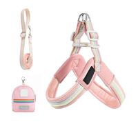 Dog Harness and Lead, Adjustable Safety Harness for Dogs with Jacket - Storage Bag Included Anti-Rotation Accessory for Walking in the City Beach Hiking Park Garden