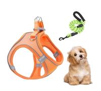 Dog Harness and Lead Set, Adjustable Dog Harness with Leads for Puppies and Small Dogs, Breathable Escape Proof Harness for Puppies, Kittens, Hikes, Vets, Camping, Training