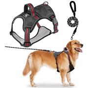 Dog Harness and Lead Set, No Pull Dog Harness with Sturdy Handle Adjustable Reflective Puppy Harness Heavy Duty Walking Training Easy Control Pet Vest for Small Medium Large Dogs