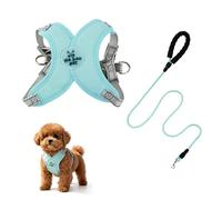 Dog Harness and Lead Sets, No Pull X-Frame Puppy Harness, Dog Harness Small Breed with Reflective Strips, 1.5m Pet Round Lead, Breathable Mesh Pet Vest for Walking Training Outing (Green, S)