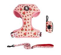 Dog Harness and Leash, Poop Bag Holder 3 Sets, Easy Walk No Pull Adjustable Puppy Cat Vest Harness with Soft Mesh Padded, Pet Supplies for Extra-Small/Small Medium Dogs Kitten