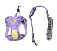 Dog Harness and Leash Set, Adjustable, Large | Breathable Material, Animal Control Set, Socialization Events, For Canine