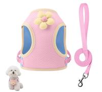 Dog Harness and Leash Set, Breathable Adjustable Pet Harness with 1.5M Leash & Reflective Strip for Small Medium Dogs Cats