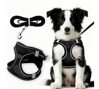 Dog Harness and Leash Set, Breathable Soft Mesh Pet Vest with Reflective Strips, Adjustable Step-in Dog Harness with Safety Buckle for Small Medium Dogs, Cats, Puppy Harness and Lead Sets(Black, M)
