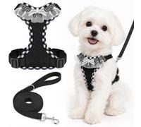 Dog Harness and Leash Set, Dog Vest Harness Small Dog with Soft Mesh (Black, S)
