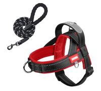 Dog Harness and Leash Set No Pull Padded Adjustable Harness with Handle + 5ft Leash for Small Medium Sized Dogs, Lightweight Escape Proof and Quick Fit Harness for Training Walking,(Black/Red, XL)