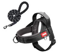 Dog Harness and Leash Set No Pull Padded Adjustable Harness with Handle + 5ft Leash for Small Medium Sized Dogs, Lightweight Escape Proof and Quick Fit Harness for Training Walking,(Black, XL)