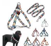 Dog Harness and Leash Set, Pretty Pattern No-Pull Pet Halter Puppy Vest Outdoor Easy Walk for Small Medium Large Breed Pug Bully Mastiff Dogs Female Male, Boho XL