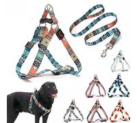 Dog Harness and Leash Set, Pretty Pattern No-Pull Pet Halter Puppy Vest Outdoor Easy Walk for Small Medium Large Breed Pug Bully Mastiff Dogs Female Male, Ethnic L