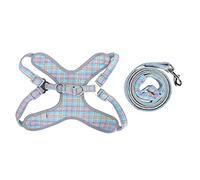 Dog Harness and Leash Set | Reflective Pet Vest for Night Visibility | Adjustable No - Pull Traction for Walking/Jogging/Training | Fits Small Animals Like Cats, Rabbits, Mini (XXS)