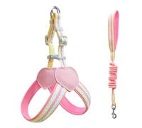 Dog Harness and Leash Set Small Medium Sized Escape Proof Soft Light Puppy Vest Harness Breathable Mesh Safe for Easy Walking Pink S
