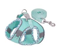 Dog Harness and Leash Set, Step-in Air Dog Vest, Reflective No Pull Collars for Small Medium Dogs Cats Secure with Hook & Loop Fastener Buckle Double D-Ring (Green, L)