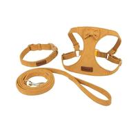Dog Harness and Leash Set with Multifunction Leash and Collar, Soft No Choke Escape Proof for Small Dogs and Cats(Yellow,M)