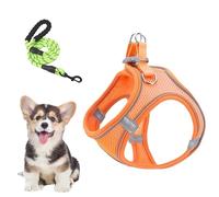 Dog Harness and Leashes Set | Adjustable Medium Small Dog Harness with Leashes - Escape-Proof Puppies Kitten Cat Vest with Reflective Straps for Hiking Camping Trips Veterinary Visits Outdoor