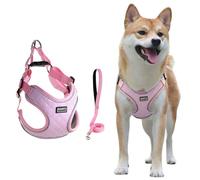 Dog Harness Breathable Vest, Step-in Puppy Harness and Lead Sets, Adjustable Reflective Anti Pull Soft Mesh Padded Puppy Leash for Small Medium Dogs Training or Walking(Pink,XS)