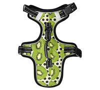 Dog Harness Bright Color Kiwi Polka Dot Pattern No Pull Reflective Adjustable Dog Vest Harnesses with 2 Leash Clips and Easy Control Handle for Small Medium Dogs Cats S
