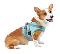 Dog Harness Cooling Vest Adjustable Breathable Mesh Pet Summer Cooler et
