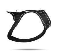 Dog harness Curli Belka