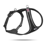 Dog harness Curli Belka