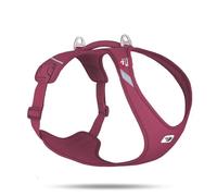 Dog harness Curli Belka Air-Mesh