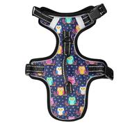 Dog Harness Cute Owls Berries Snowflake No Pull Reflective Adjustable Dog Vest with 2 Leash Clips and Easy Control Handle for Small Medium Dogs Cats S
