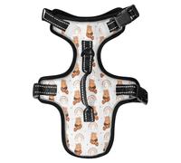 Dog Harness Cute Red Panda Rainbow No Pull Reflective Adjustable Dog Vest with 2 Leash Clips and Easy Control Handle for Small Medium Dogs Cats M