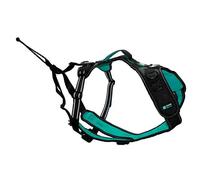 Dog harness Cynnotek Symbioz