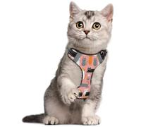 Dog Harness durables Buckles S Crazy Cat Lady Funny