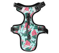 Dog Harness Exotic Flowers Hummingbirds No Pull Reflective Adjustable Dog Vest with 2 Leash Clips and Easy Control Handle for Small Medium Dogs Cats M