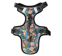 Dog Harness Exotic Parrot Birds No Pull Reflective Adjustable Dog Vest with 2 Leash Clips and Easy Control Handle for Small Medium Dogs Cats S