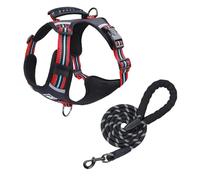 Dog Harness for Large Dogs, Large Dog Vest with Leash, Breathable Mesh Fabric, Anti-pull Adjustable Dog Harness Size S