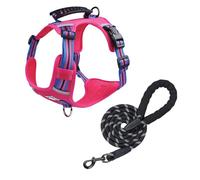 Dog Harness for Large Dogs, Large Dog Vest with Leash, Breathable Mesh Fabric, Anti-pull Adjustable Dog Harness Size M