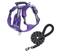 Dog Harness for Large Dogs, Large Dog Vest with Leash, Breathable Mesh Fabric, Anti-pull Adjustable Dog Harness Purple Size L
