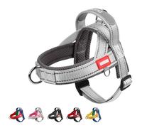 Dog Harness for Medium Sized Dogs, No Pull Reflective Trim Escape Proof Quick Release Stop Pulling Padded Lightweight Nylon Dog Harness with Handle for Walking Training,(Silver/Gray, XL)