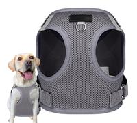 Dog Harness for Small Dogs - Lightweight Soft Adjustable | For Walking Training Hiking Trail Running All-Day Wear